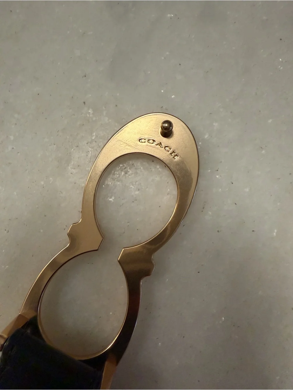 Coach classic leather